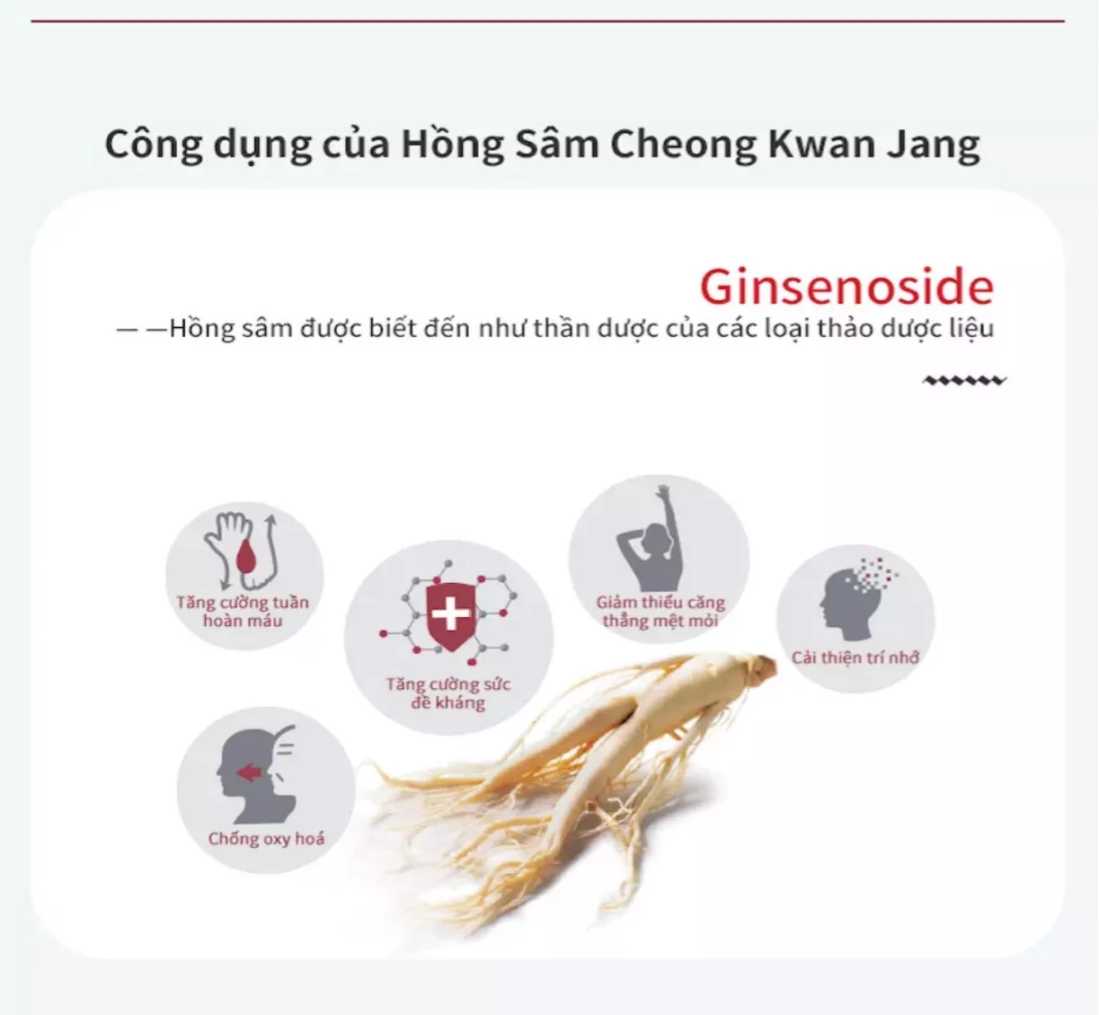 Mô tả Nước Hồng Sâm Goodbase Chanh Dây KGC Cheong Kwan Jang 5